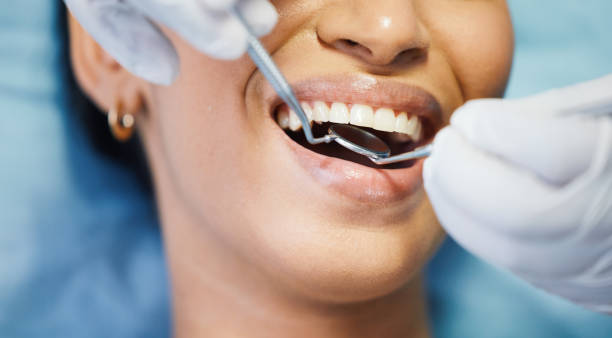 Best Emergency X-Rays and Diagnostics in South Bend, WA